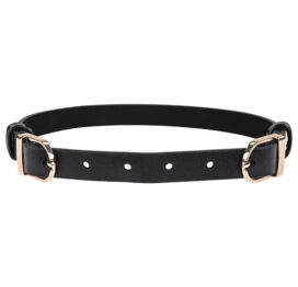 afbeelding Sportsheets Sex & Mischief Double Buckle Day Collar