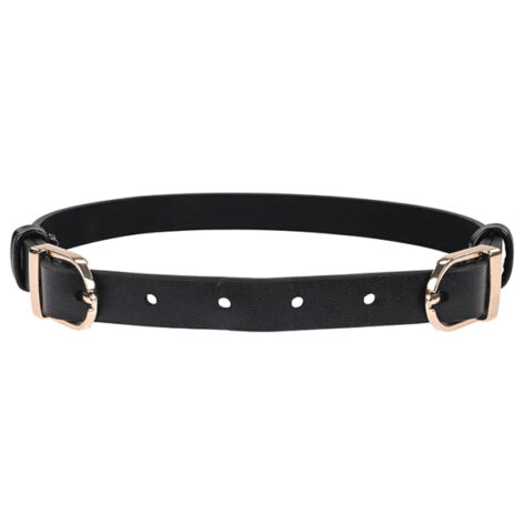 afbeelding Sportsheets Sex & Mischief Double Buckle Day Collar