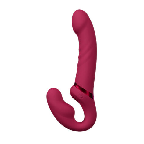 afbeelding Lovense Lapis Vibrator