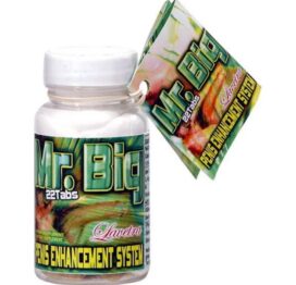 afbeelding mr. big penis enhancement system 22st.