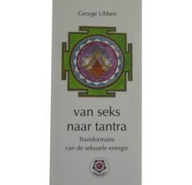 afbeelding van seks naar tantra - boek